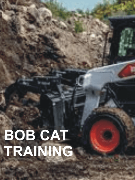 BOB CAT TRAINING-min